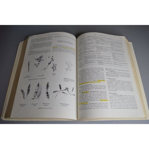 1974 Review Of Medical Microbiology 12th Edition By Jawetz Melnick & Adelberg La - Picture 9 of 11